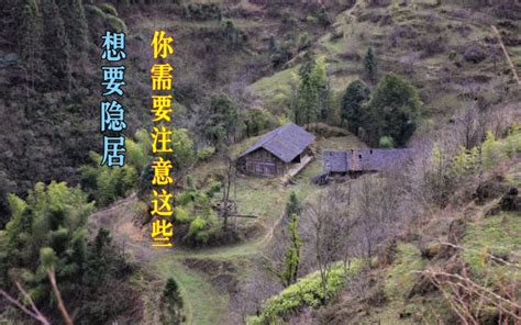 隐居一年后，给想要隐居的人的一点建议 黄豆的山居生活 黄豆的山居生活 哔哩哔哩视频