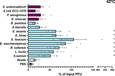 Effects Of Bacteria On Mnv Stability Thermal Stability Assays Were