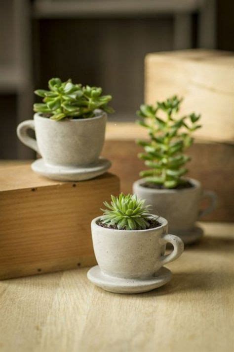 Blument Pfe Aus Beton Selber Machen Succulents Diy Cement Diy