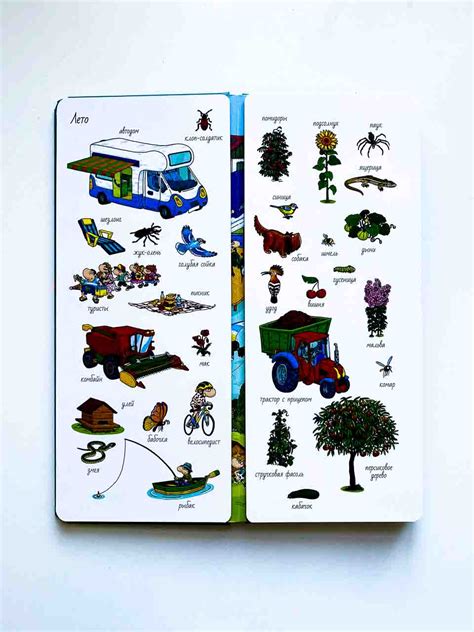 Найди и покажи. Времена года - Vilki Books