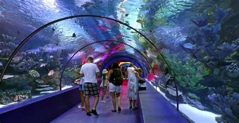 Antalya Aquarium Entrance Ticket And Transfer GetYourGuide