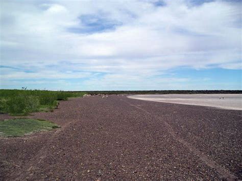 Estancias Campos Rio Negro San Antonio Oeste Ha Campo