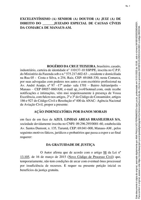 Petição inicial contra companhia aérea EXCELENTÍSSIMO A SENHOR A