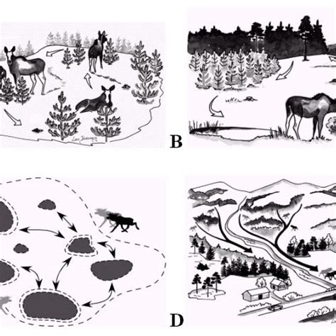 5 -Four basic types of animal movements: (A) Foraging movements of an... | Download Scientific ...