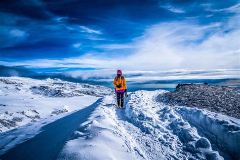 Our Company Tanzania Joy Tours I Kilimanjaro Climb I Safari Tanzania