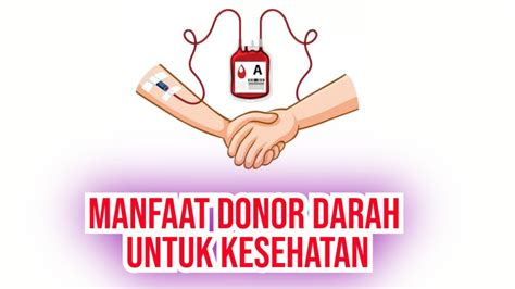 Manfaat Donor Darah Untuk Kesehatan Youtube