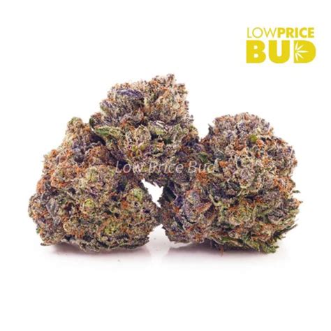 Pink Rockstar Aaa Low Price Bud