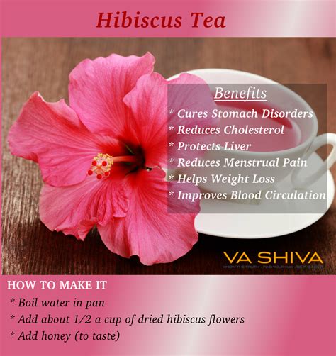 Health Benefits Of Hibiscus Tea Drink Everyday And Stay Healthy