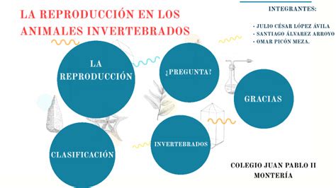 La ReproducciÓn En Los Animales Invertebrados By Padys Cañavera Mejía