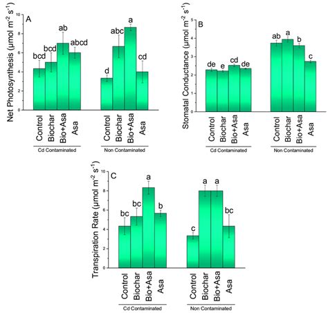 Effect Of Various Treatments On Net Photosynthesis A Stomatal