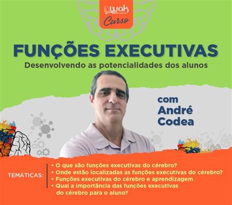 Curso 78 Funções Executivas Desenvolvendo As Potencialidades Dos