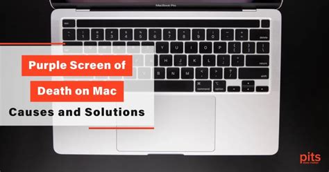 Purple Screen of Death (PSOD) on Mac: Causes and Solutions