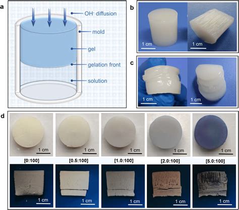 Influence Of Cu On Cs Hydrogel Structure A Schematic Illustration