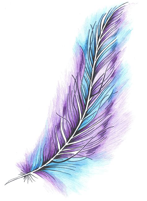 Tattoo Feather Drawing