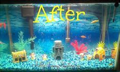 10 Spongebob Aquarium ideas | spongebob, aquarium, spongebob fish tank