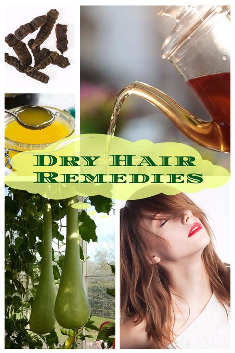 Dry Dull And Lifeless Hair Do You Know Natural Ingredients Can Bring