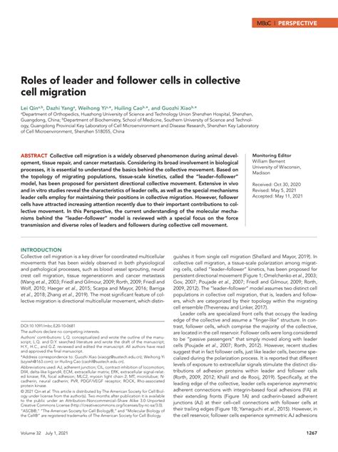 Pdf Roles Of Leader And Follower Cells In Collective Cell Migration