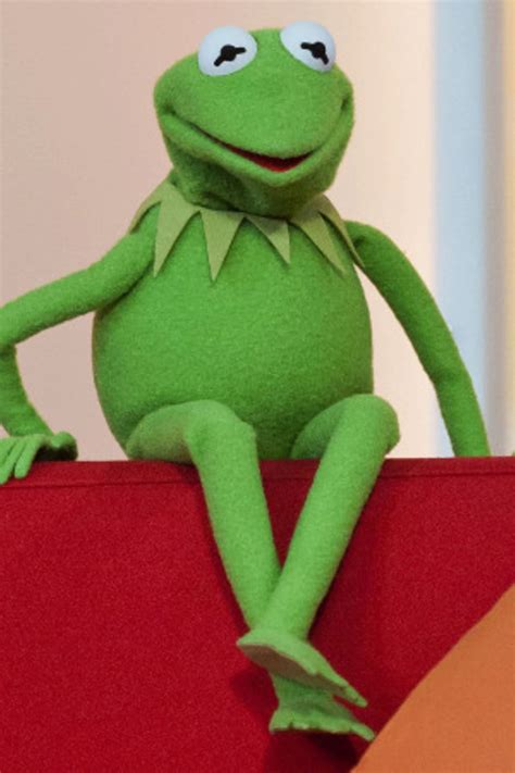 Kermit Der Frosch Bilder Lustig 13 Frosch Ideen Lustige Spruche