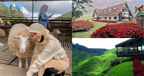 19 Tempat Menarik Di Cameron Highlands Taman Bunga Ladang Strawberi