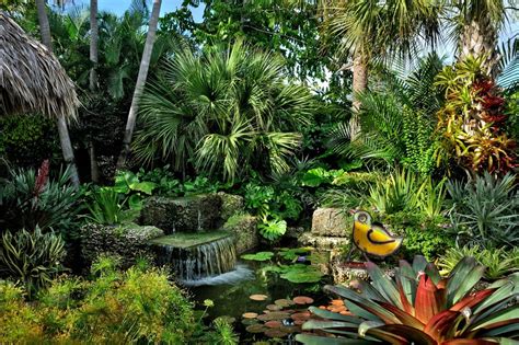 Jones Residence Tropical Landscape Miami By Craig Reynolds