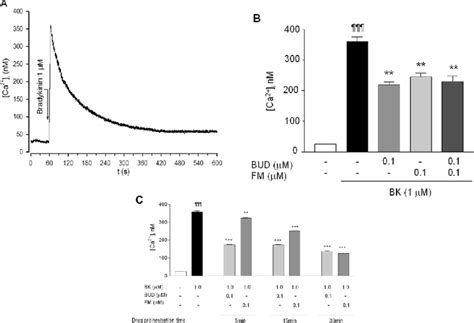 Effects Of Bud And Or Fm On Bk Induced Increase In Ca I In Hfl