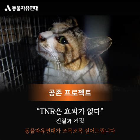 동물자유연대 공존 프로젝트 Tnr편 Tnr은 효과가 없다 진실과 거짓 동물자유연대가 조목조목 짚어드립니다