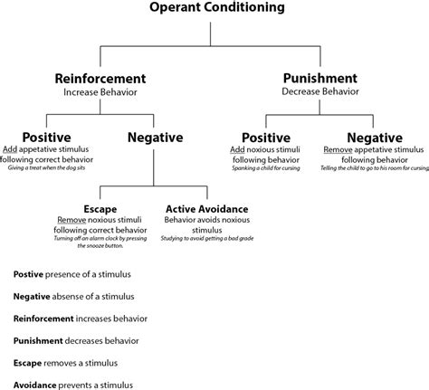 Reinforcement Theory The Decision Lab