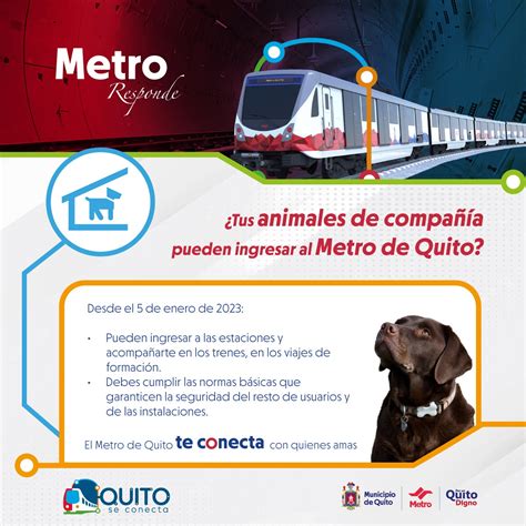 Metrodequito On Twitter Buenas Noticias En El Metro De Quito Puedes