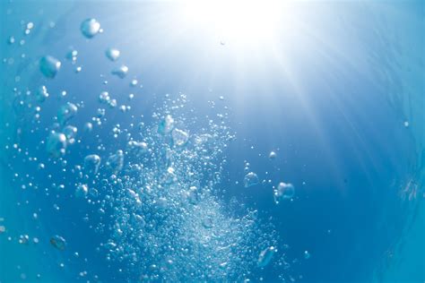 Healing Is Like A Fart In The Hot Tub Green Tree Mind