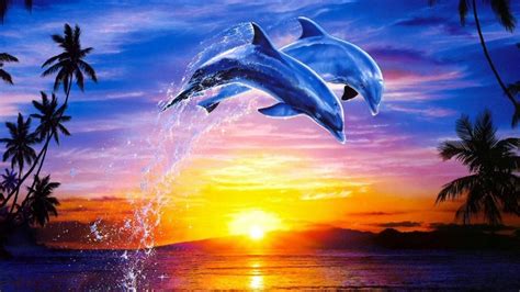 Animal Dolphin Hd Wallpapers Wallpaper Cave