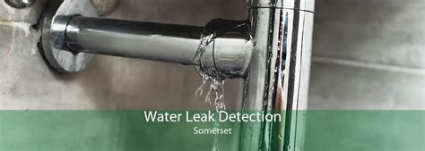 Professional Water Leak Detection Services In Braemore Qld