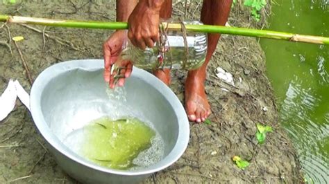 Amazing Boy Catch Fish With Plastic Bottle Fish Trap Primitive