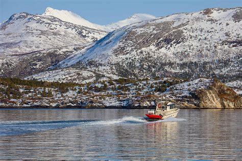 Saltstraumen Boat Trip & Winter Fjord Safari - Nordland Adventures