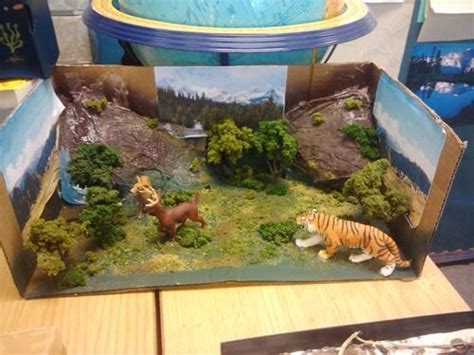 Grassland Ecosystem Diorama