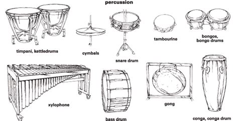 Percussion Live Music Tutor