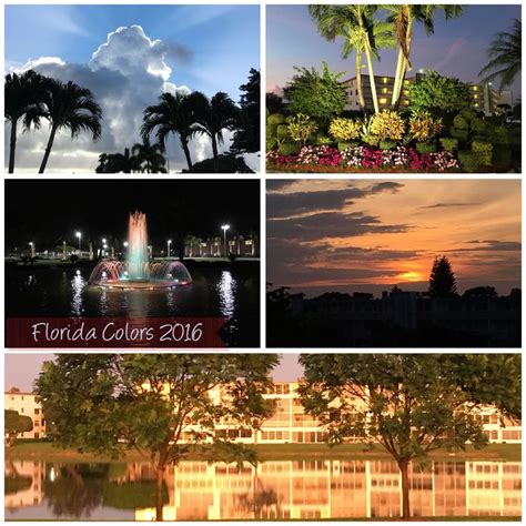 Capturing the Florida colors---2016 | Florida, Color, Capture