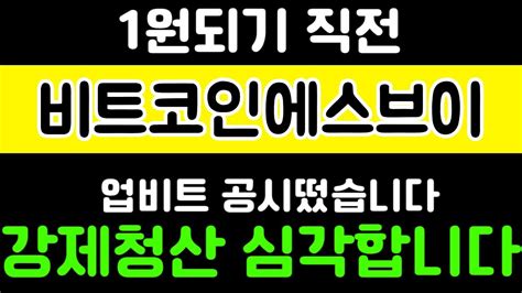 비트코인에스브이 저녁긴급 내일아침 큰거옵니다 오늘 새벽 2차 폭등 결국 터질게 터졌네요 비트코인에스브이 비트코인에스브이