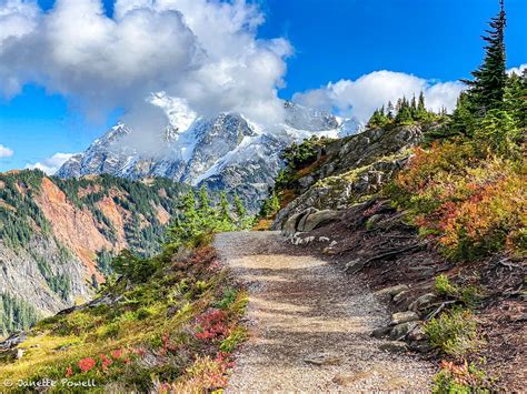 Artist Ridge Huntoon Point — Washington Trails Association