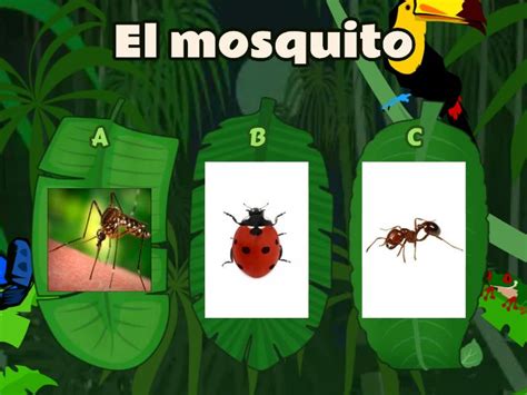 Los Insectos En Espa Ol Quiz