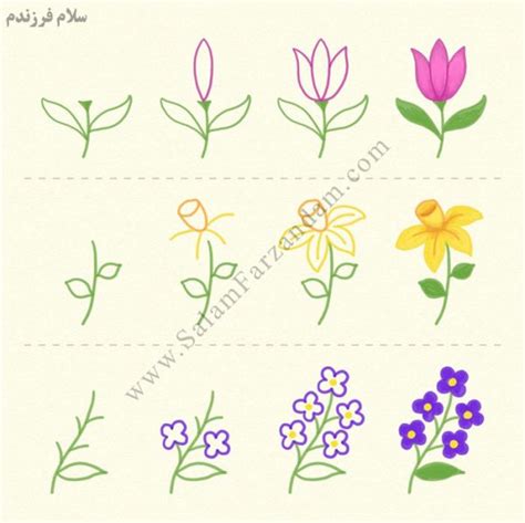 آموزش مرحله ای نقاشی انواع گلها پنجره ای به دنیای کودکان