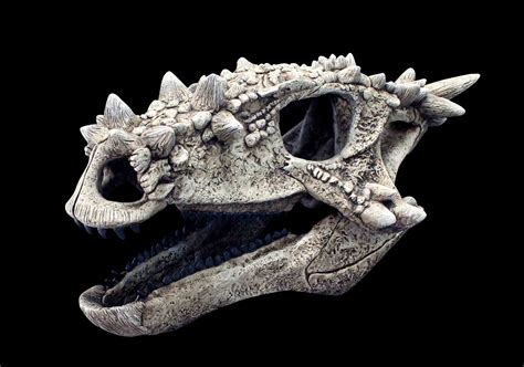 Dracorex hogwartsia | Eofauna