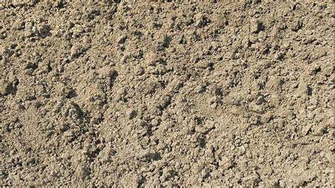 What Is Topsoil The Pros And Cons Of Each Type Lawnstar