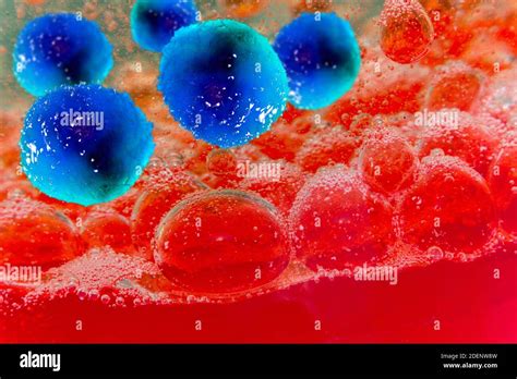 Bacterial Meningitis Meninges Hi Res Stock Photography And Images Alamy