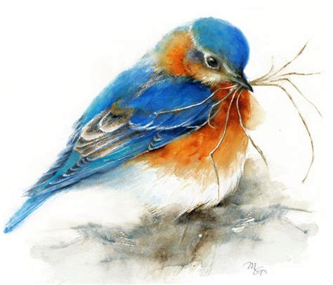 Eastern Bluebird Watercolor Painting Giclee Print Bird Etsy