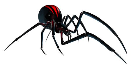 Black Widow Spiders Png Isolated Hd Png Mart