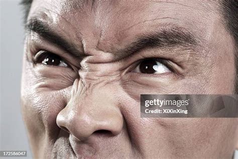 7486 Angry Eyes Stock Photos High Res Pictures And Images Getty Images