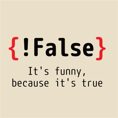 False It S Funny Because It S True T Shirt For Programmers