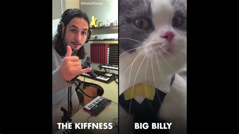 The Kiffness X Big Billy Live Looping Talking Cat Remix Youtube