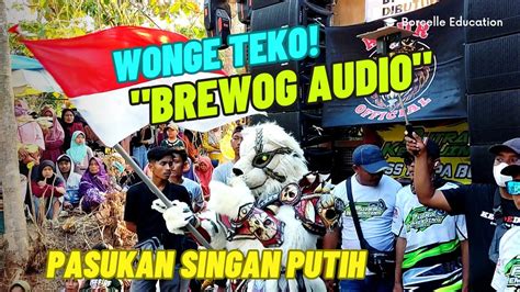 Yang Ditunggu Brewog Audio Bawa Pasukan Singan Putih Karnaval