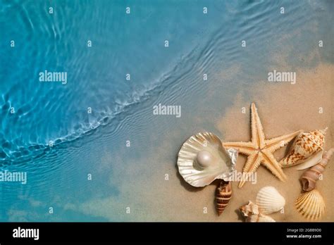 Starfish And Seashell On Summer Beach In Sea Water Summer Background